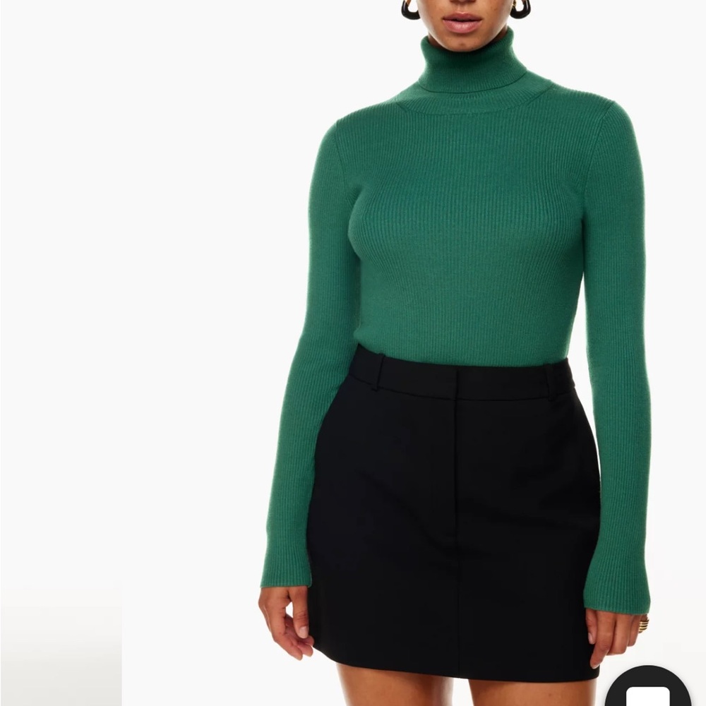 Aritzia turtleneck
